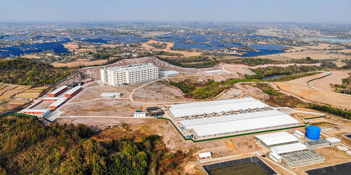 Jinzhai Dekon Jinyu Pig Breeding Farm